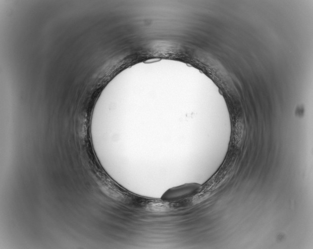 X0000098210413200805221631