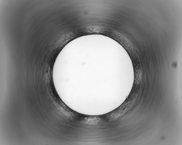 X0000098210414200805221631