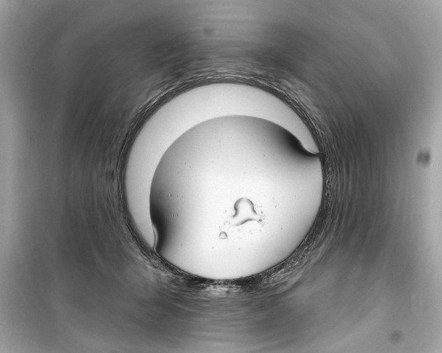 X0000098210415200805221631