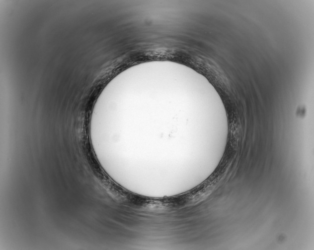 X0000098210416200805221631