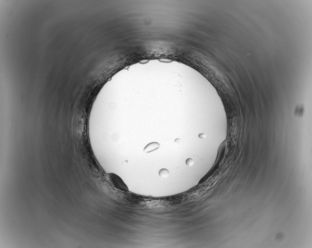 X0000098210417200805221631