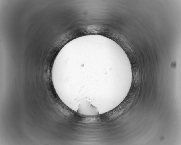 X0000098210418200805221631