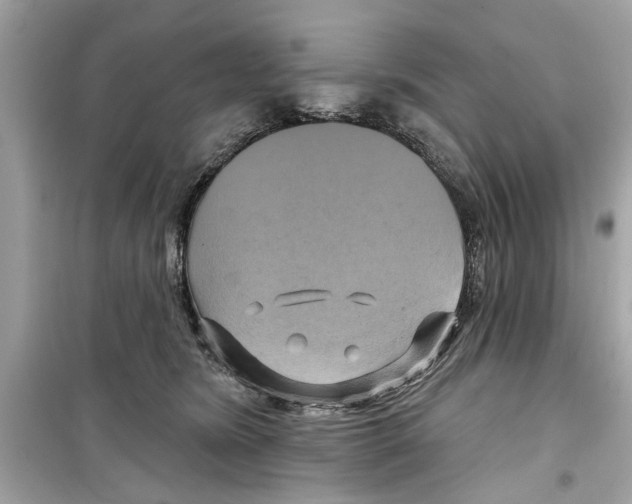 X0000098210420200805221631