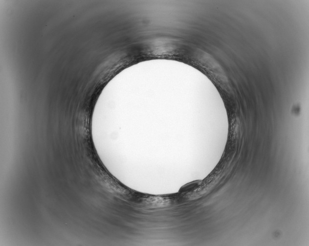 X0000098210421200805221631