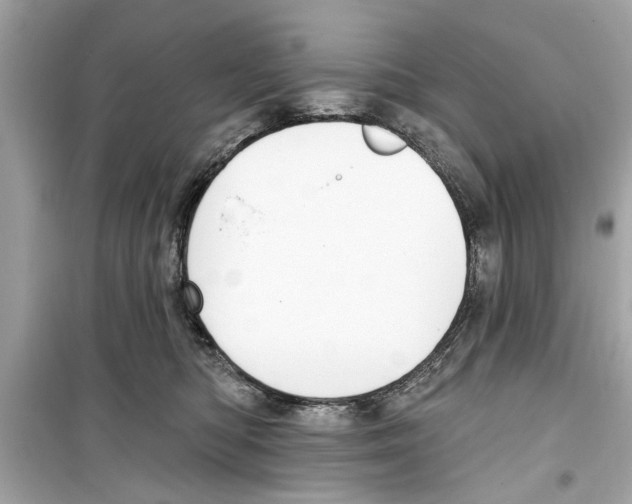 X0000098210422200805221631