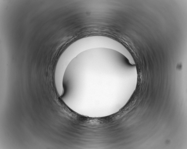 X0000098210423200805221631