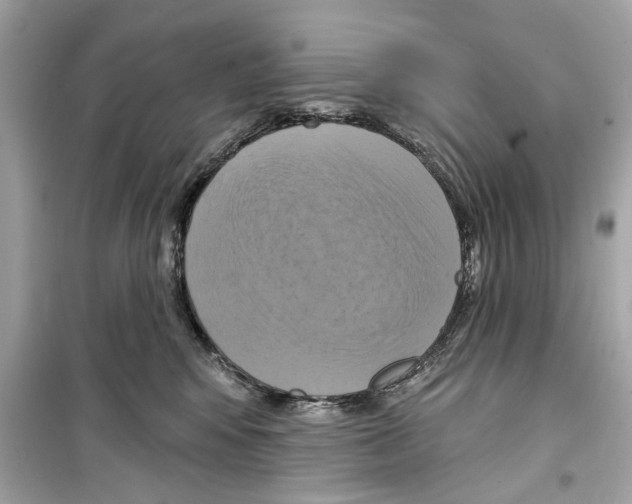 X0000098210424200805221631