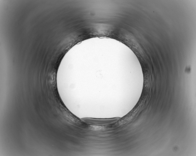 X0000098210425200805221631