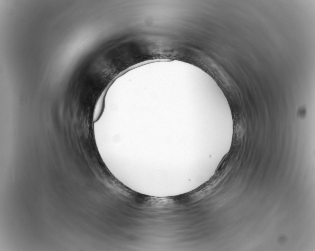X0000098210429200805221631