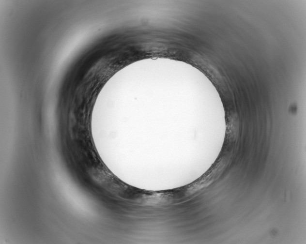 X0000098210430200805221631