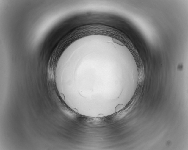 X0000098210431200805221631
