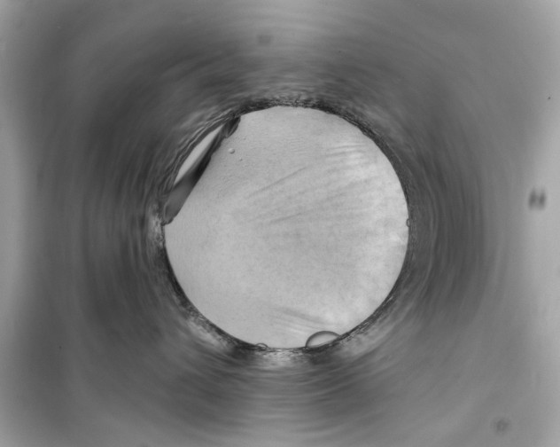 X0000098210432200805221631