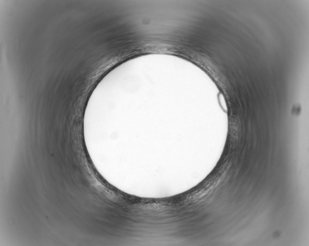 X0000098210433200805221630