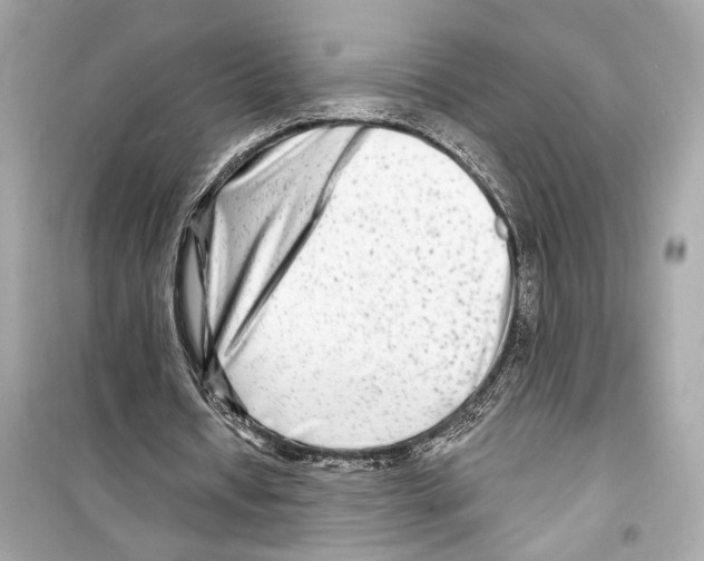 X0000098210434200805221630
