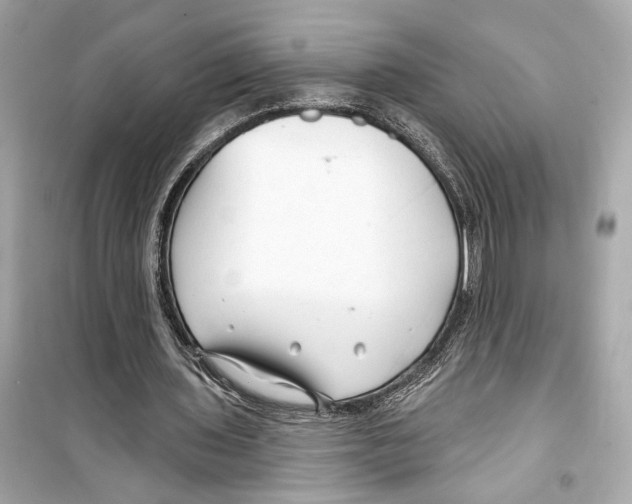 X0000098210435200805221630