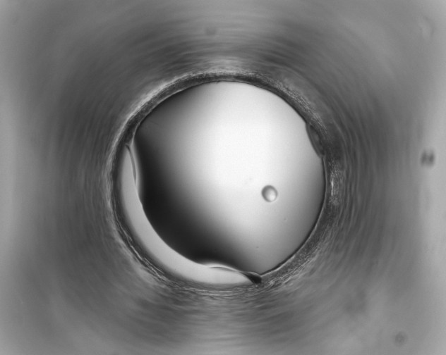 X0000098210436200805221630