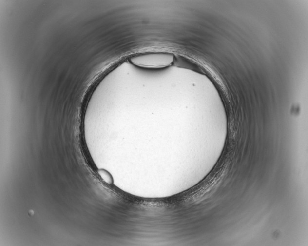 X0000098210437200805221630