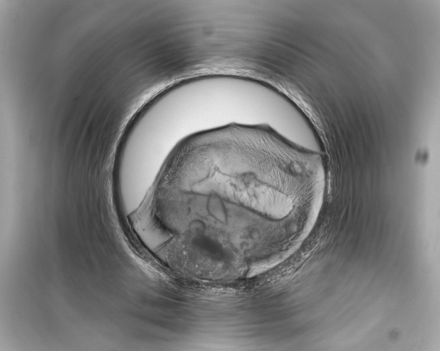 X0000098210438200805221630