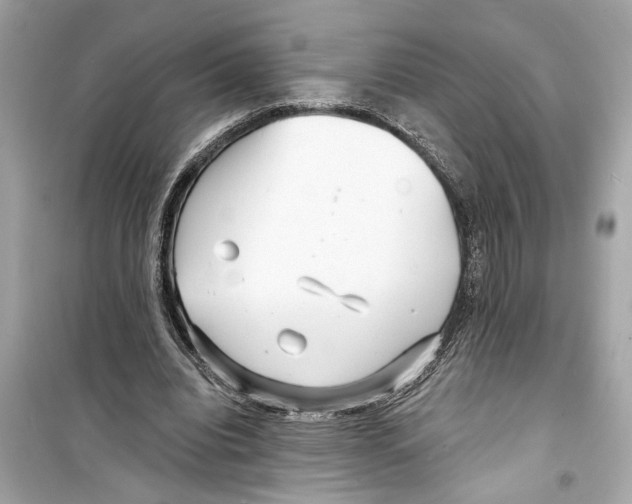 X0000098210440200805221630