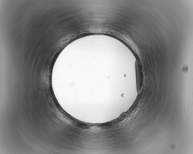 X0000098210441200805221630
