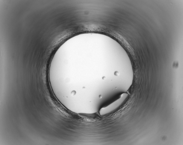 X0000098210442200805221630