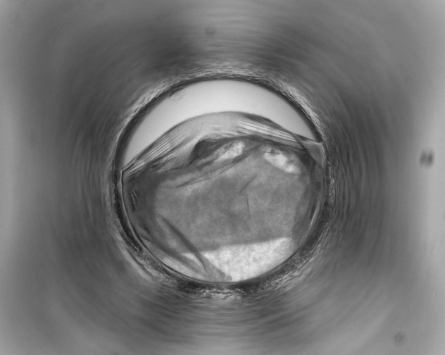 X0000098210443200805221630