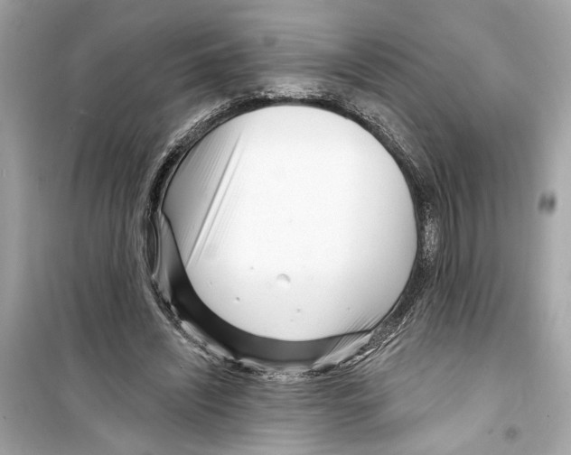 X0000098210444200805221630