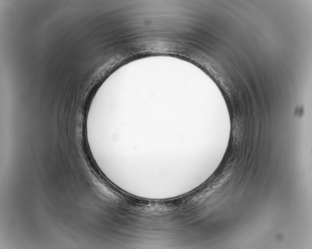 X0000098210445200805221630