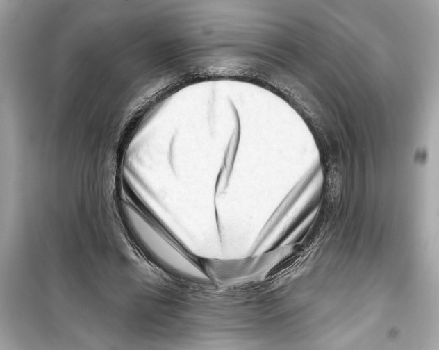 X0000098210446200805221630