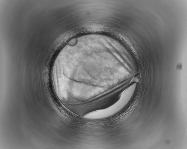 X0000098210447200805221631
