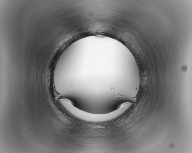 X0000098210448200805221631