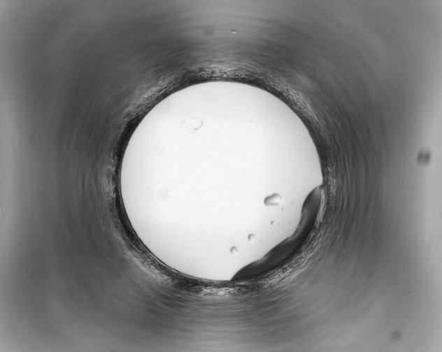 X0000098210450200805221631