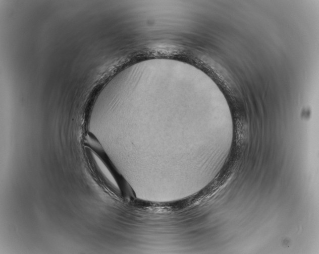 X0000098210451200805221631