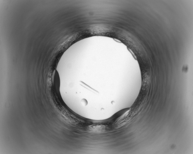 X0000098210452200805221631