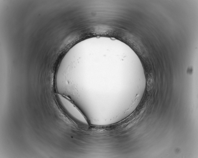 X0000098210454200805221631