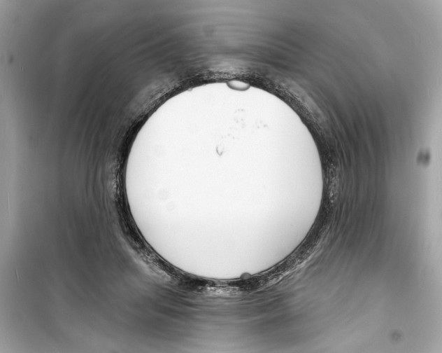 X0000098210455200805221631