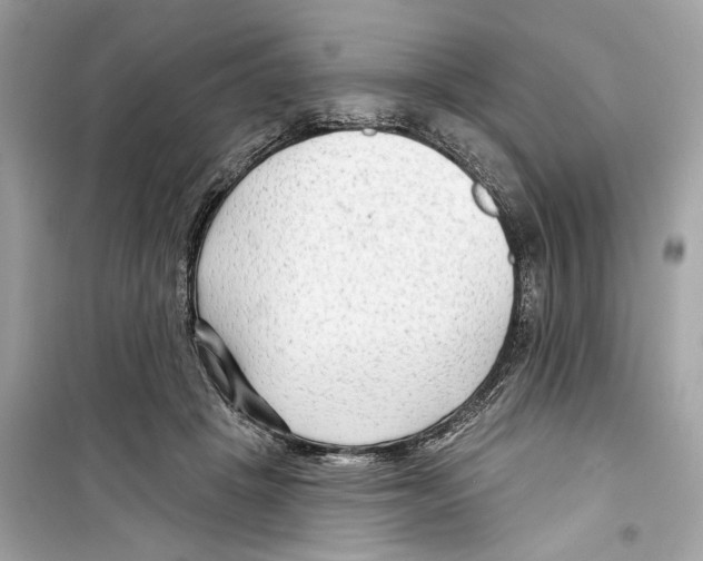 X0000098210457200805221631