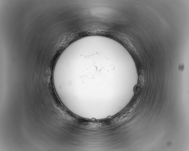 X0000098210458200805221631