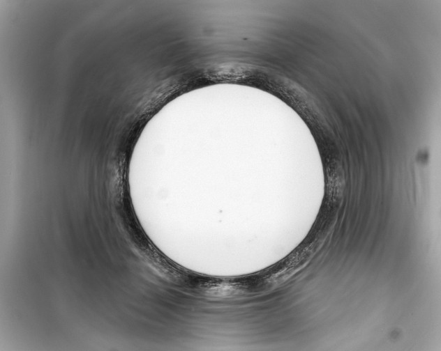 X0000098210460200805221631