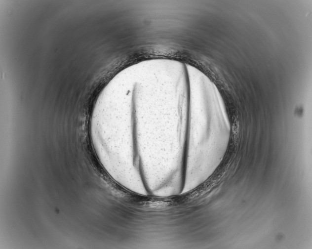 X0000098210462200805221631