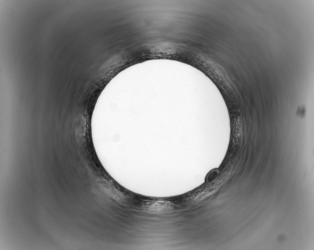 X0000098210463200805221631