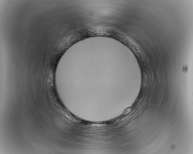 X0000098210465200805221631