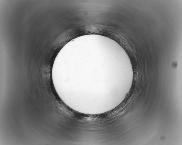 X0000098210466200805221631