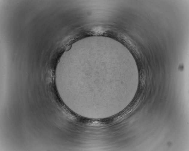 X0000098210467200805221631