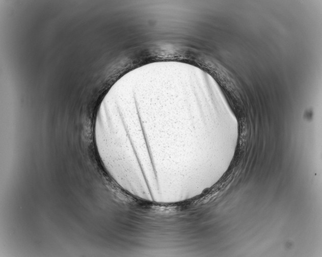 X0000098210469200805221631