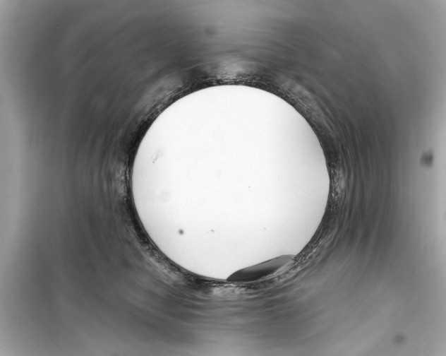 X0000098210470200805221631