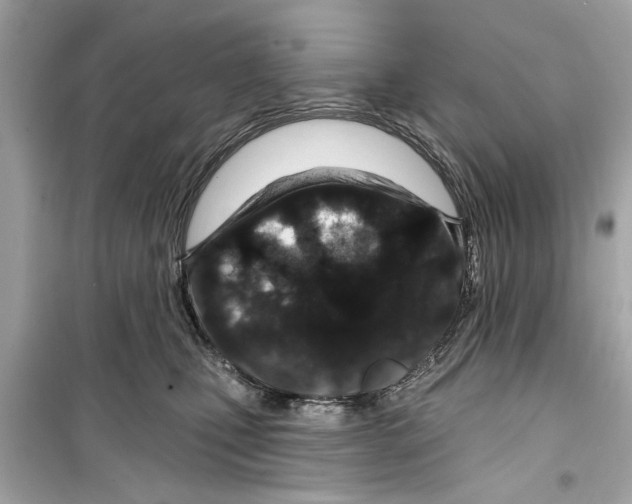 X0000098210471200805221631