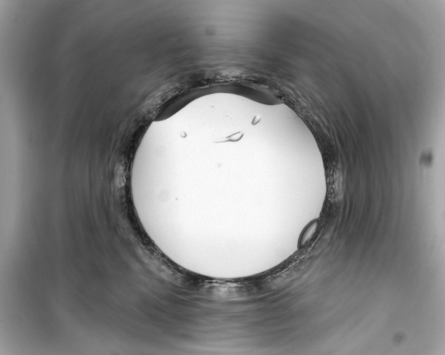 X0000098210472200805221631