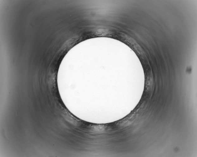 X0000098210473200805221631