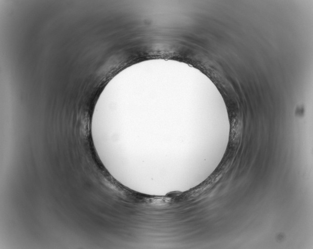 X0000098210474200805221631